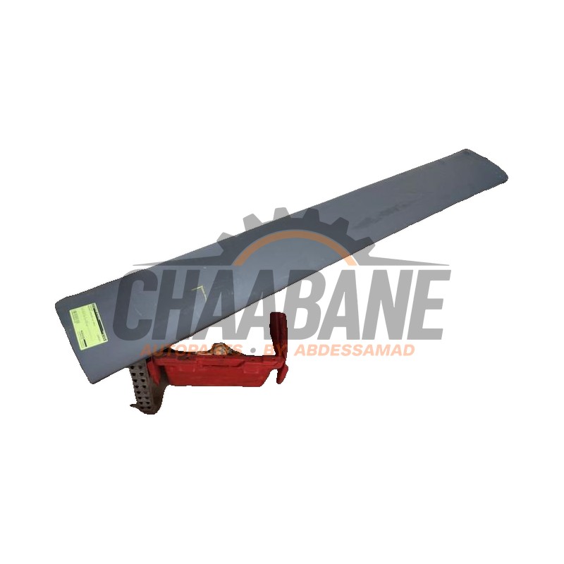 Bande decorative A9106905300 Mercedes Sprinter 5t (907.6) 515 CDI 2.0 D RWD