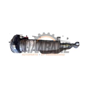 Amortisseur arriere gauche F4BA5K844W2 BMW 7 serie (G11/12) 745e,Le 2015 / 2022