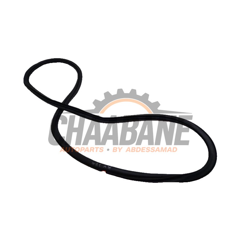 Joint caoutchouc portiere 4portes arriere droite 6F0867368E Seat Ibiza V (KJB) 1.0 TSI 12V 2017