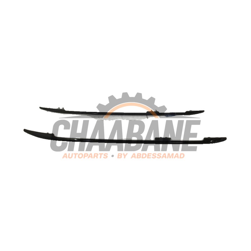 Galerie de toit 8090457 BMW X7 2019