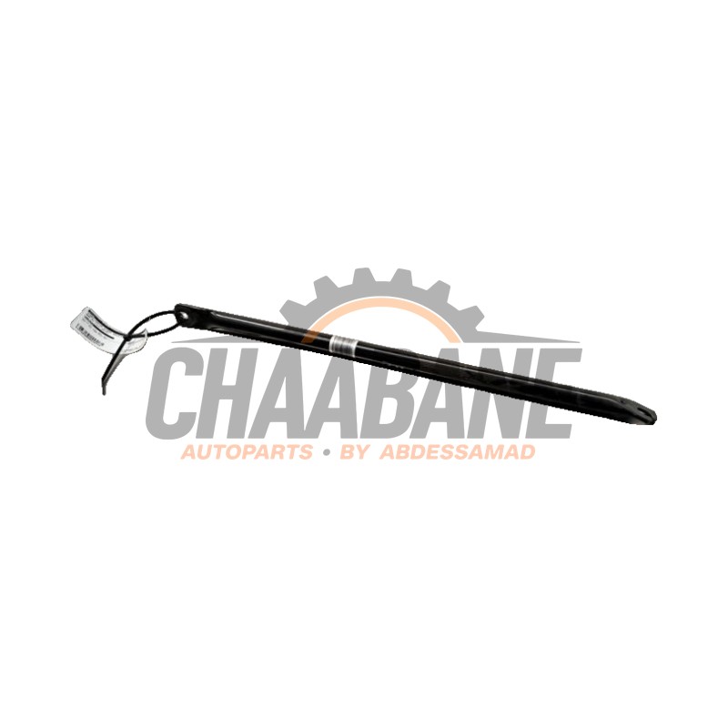 Bielette barre stabilisatrice 51617292793 BMW X1 (F48) sDrive 16d 1.5 12V TwinPower 2014 / 2022
