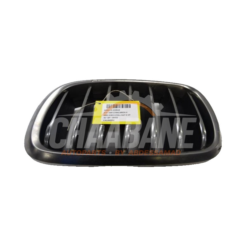 Pare-chocs grille BMW X6 2014 / 2019