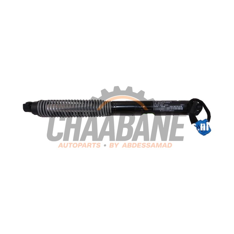 Verin de coffre 51247357110 BMW 7 serie (G11/12) 750 Li XDrive V8 32V 2015 / 2022