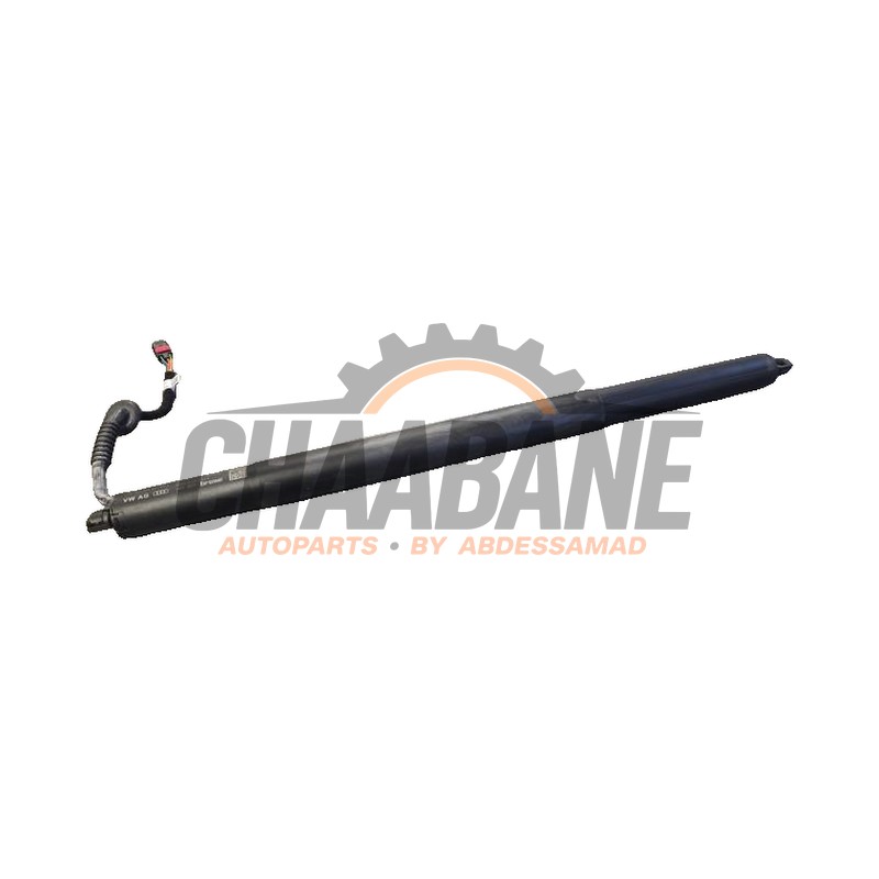 Amortisseur a gaz arriere droit 89A827851A Audi Q4 (F4B) 2021