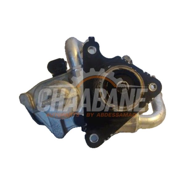 Valve RGE 04L131501S Volkswagen E-Golf 2012 / 2021