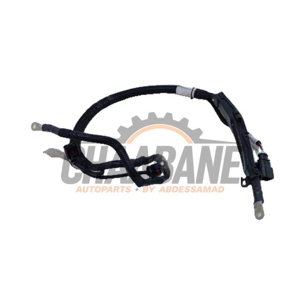 Faisceau electrique 8W0971228BT Audi RS 4 Avant (B9) 2.9 V6 TFSI 24V 2017