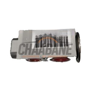 Valve dexpansion clim 1EA816679C Cupra Born 2021