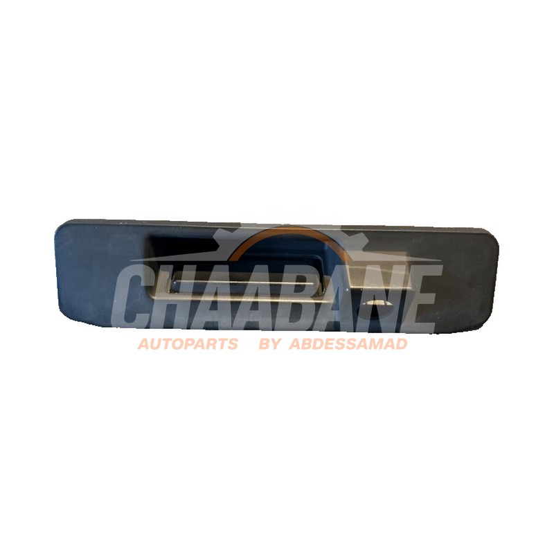 Camera de recul A2319059100 Mercedes A (W176)