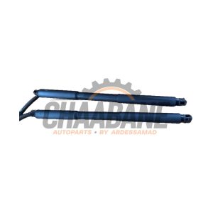 Verin de coffre 726815608 BMW 3 serie Touring (F31) 320d 2.0 16V 2012 / 2019