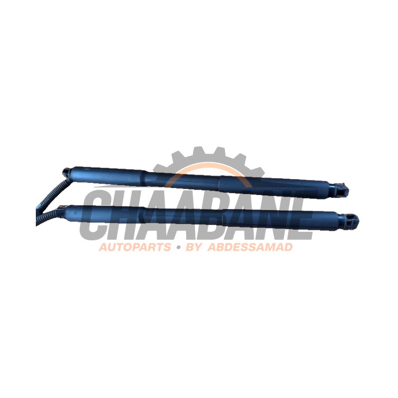 Verin de coffre 726815608 BMW 3 serie Touring (F31) 320d 2.0 16V 2012 / 2019