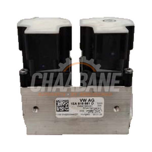 Valve dexpansion clim 1EA816681D Volkswagen ID.5 (E39) Pro Performance 2021