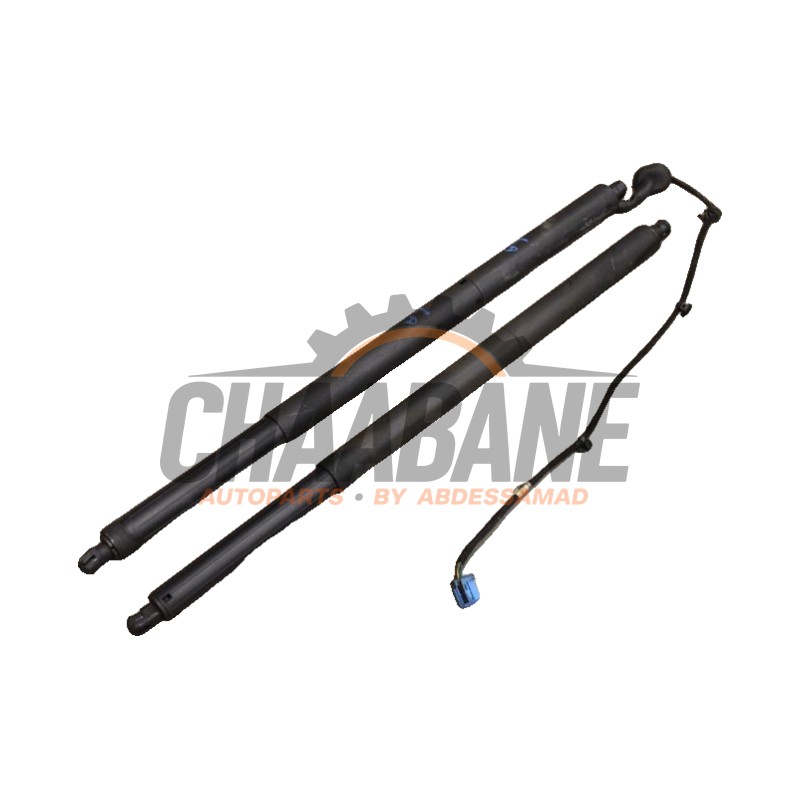 Verin de coffre A2539801064 Mercedes GLC Coupe (C253) 2.0 200 16V EQ Boost 4-Matic