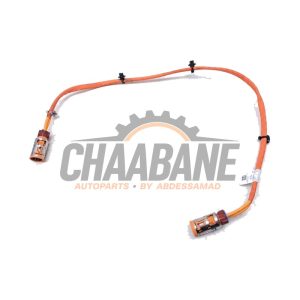 Cable haute tension 11107811 BMW X3 (G01) xDrive 30e 2.0 TwinPower Turbo 16V 2017