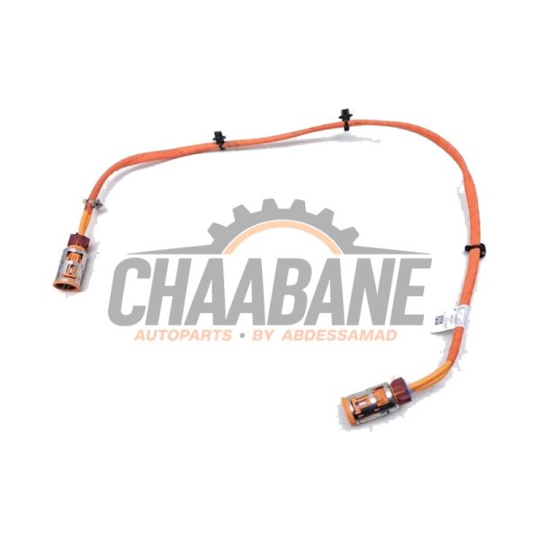 Cable haute tension 11107811 BMW X3 (G01) xDrive 30e 2.0 TwinPower Turbo 16V 2017