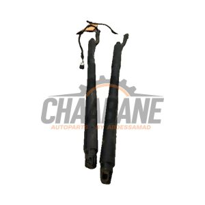 Verin de coffre 6913629 BMW 3 serie Touring (F31) 320d 2.0 16V EfficientDynamicsEdition 2012 / 2019