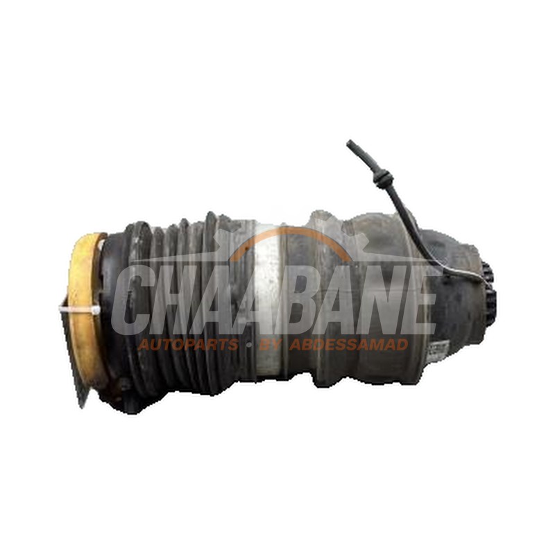 Coussin pneumatique 9J1616026C Audi e-tron GT (F83) Competition 93 kWh 2020
