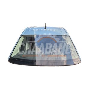 Pare-brise 7C0845099BPNVB Volkswagen Crafter (SY) 2.0 TDI 2016
