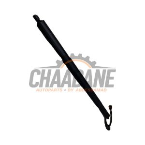 Amortisseur a gaz arriere gauche 89E827851A Audi Q4 Sportback (4FN) 45 e-tron quattro 77 kWh 2021