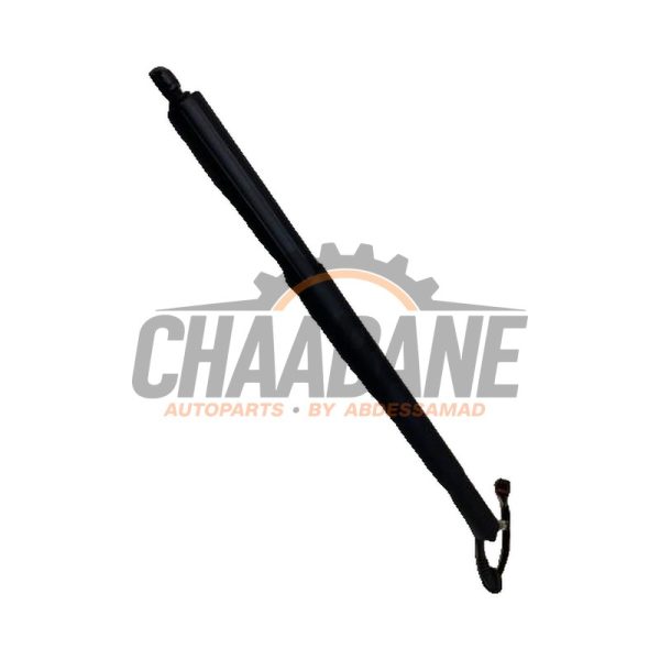 Amortisseur a gaz arriere gauche 89E827851A Audi Q4 Sportback (4FN) 45 e-tron quattro 77 kWh 2021