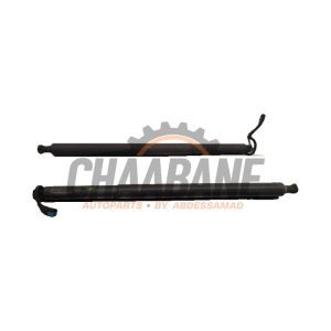 Kit amortisseur couvercle coffre 51247424415 BMW X4 (G02) xDrive 30d 3.0 TwinPower Turbo 24V 2018