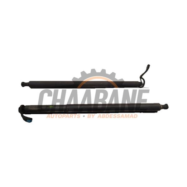 Kit amortisseur couvercle coffre 51247424415 BMW X4 (G02) xDrive 30d 3.0 TwinPower Turbo 24V 2018