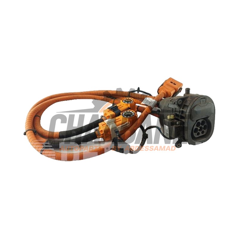 Port de chargement voiture electrique 9J1971093P Porsche Taycan (Y1A) 4S 2019