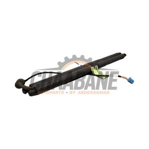 Kit amortisseur gaz hayon A1679800564 Mercedes GLE (V167) 300d EQ Boost 2.0 Turbo 16V 4-Matic