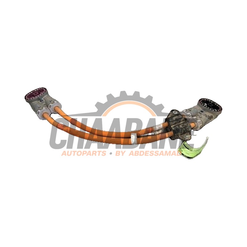 Cable haute tension 61125A85300 BMW iX (I20) xDrive40 77 kWh 2021