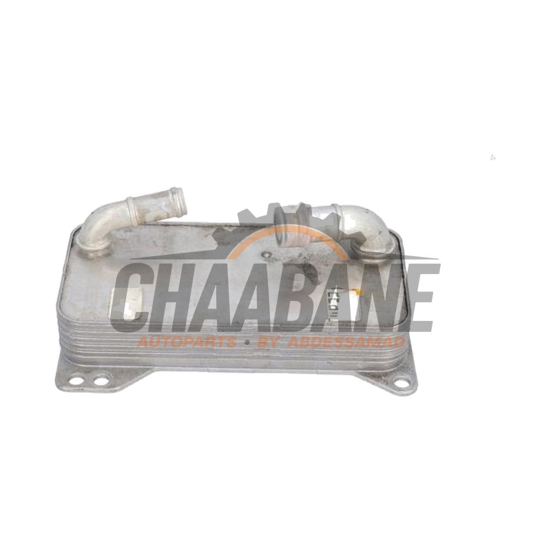 Refroidisseur dhuile 0GC317019C Volkswagen T-Roc I 1.5 TSI Evo BMT 4Motion 16V 2017