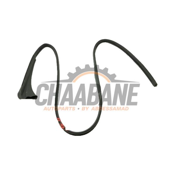 Joint caoutchouc portiere 2portes gauche SN006751 Porsche Taycan (Y1A) 4S 2019