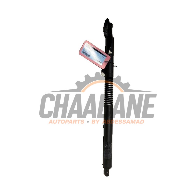 Hayon moteur 7298984AL BMW 3 serie Gran Turismo (F34) 320i 2.0 16V 2012 / 2020
