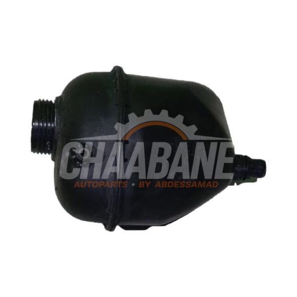 Vase dexpansion 17138610661 BMW X6 (G06) xDrive 30i 2.0 16V Mild Hybrid 2019