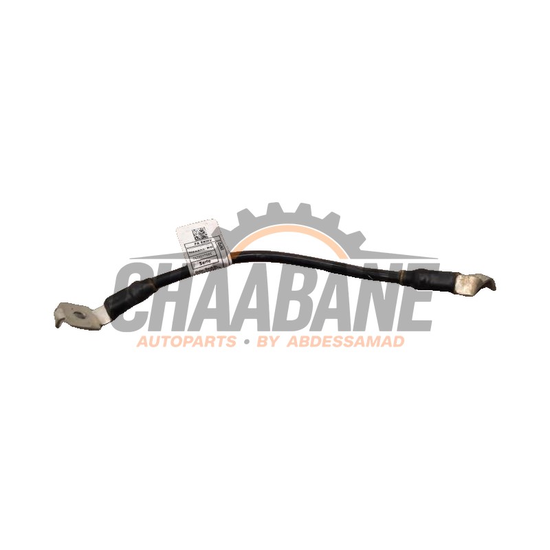Borne de batterie 61295A0C003 BMW iX (I20) xDrive M60 2021