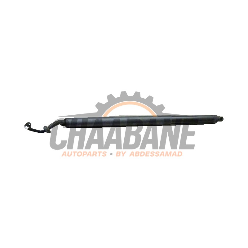 Kit amortisseur gaz hayon 5E782785103S Skoda Octavia 2019