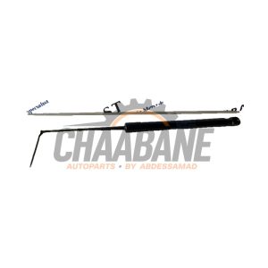 Amortisseur a gaz arriere droit A2319800564 Mercedes SL (R231) 350 CGI 3.5 V6 24V