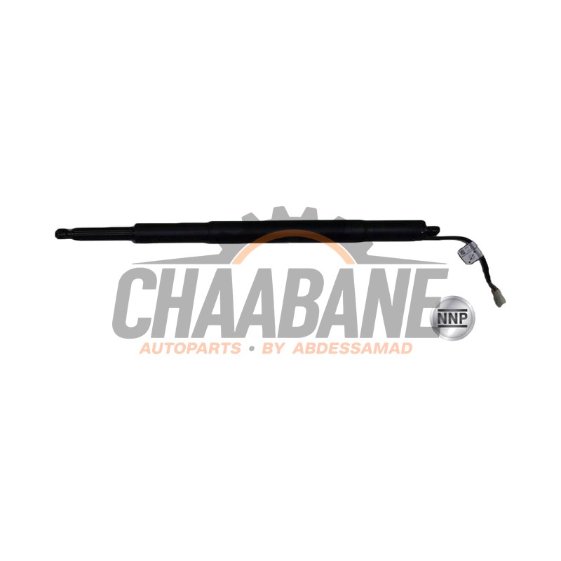 Amortisseur a gaz arriere gauche 51247453413 BMW 3 serie Touring (G21) 318i 2.0 TwinPower Turbo 16V 2019