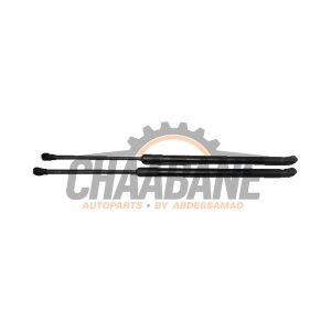 Verin de coffre 6F9827550B Seat Arona (KJX) 1.0 TSI 12V 2017
