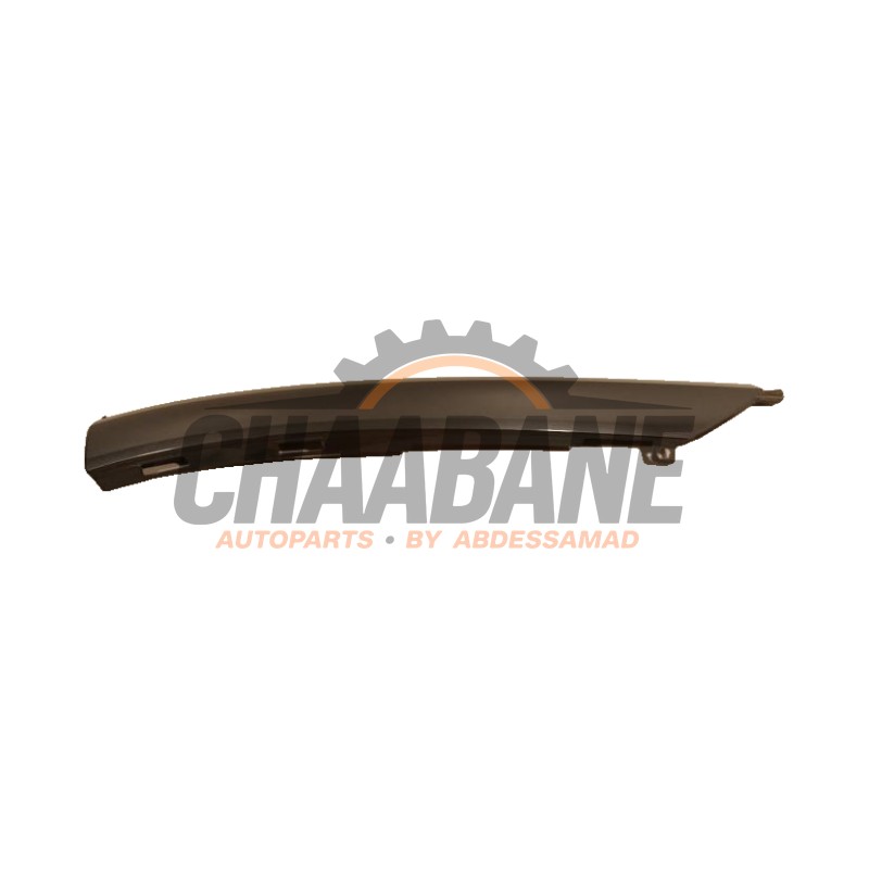 Bande decorative 155995500 BMW I3 2013 / 2022