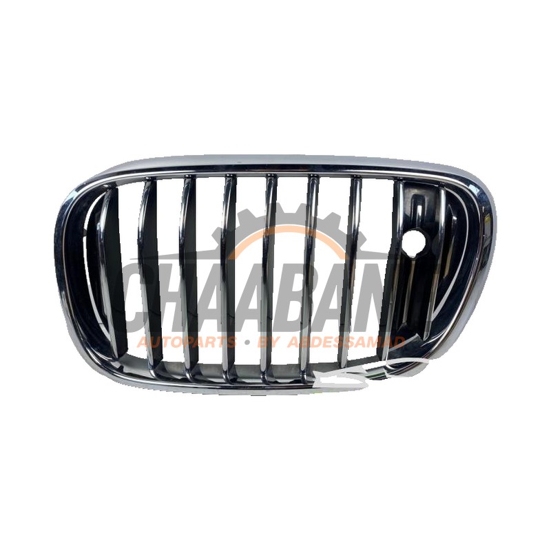 Calandre 18801310 BMW 7 serie (G11/12) 2015 / 2022