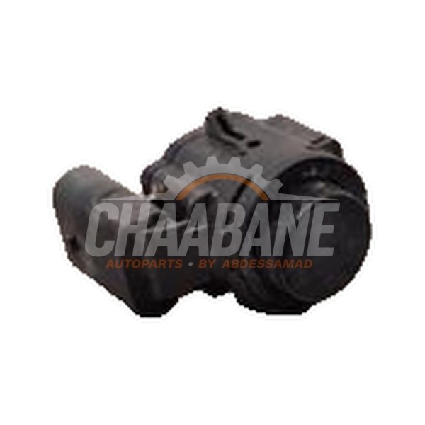 Capteur aide au stationnement 1EA919275C Cupra Born 58 2021