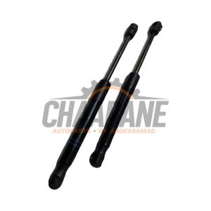 Amortisseur kit capot moteur 2485700610N BMW D3 (F30) 2013 / 2018