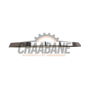 Bande decorative 7410050 BMW X3 (G01) xDrive 20i 2.0 TwinPower Turbo 16V 2017