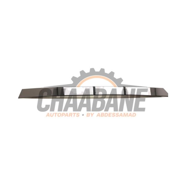 Bande decorative 7410050 BMW X3 (G01) xDrive 20i 2.0 TwinPower Turbo 16V 2017