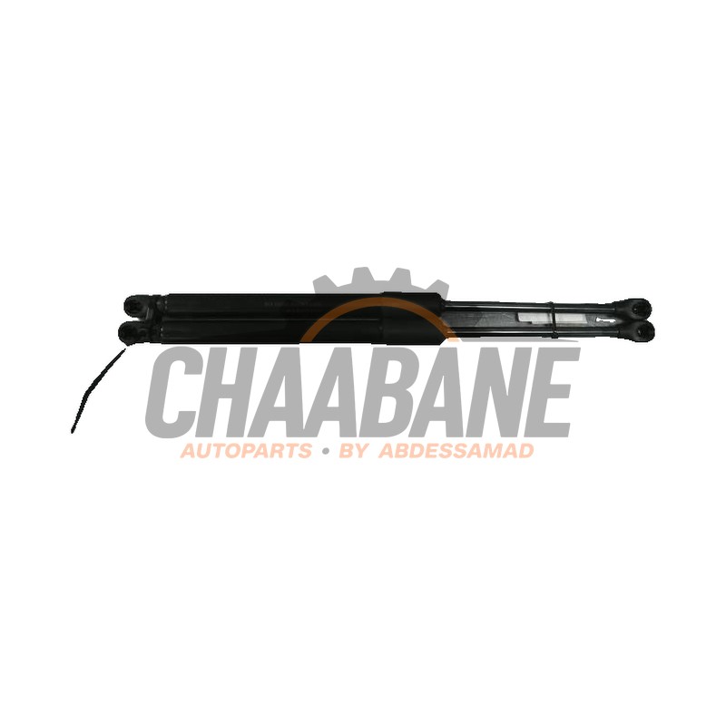 Amortisseur capot moteur gauche 5E3823359 Skoda Octavia 2019