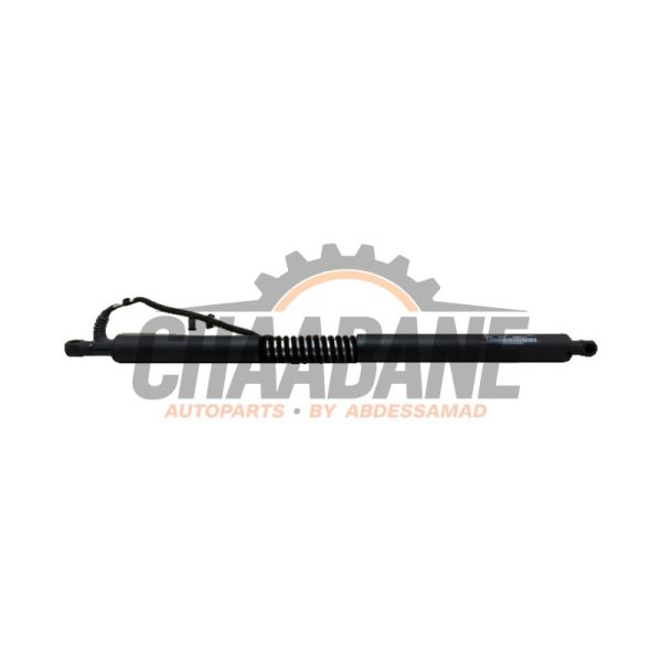 Amortisseur a gaz arriere gauche 51247298983 BMW 3 serie Gran Turismo (F34) 320d 2.0 16V 2012 / 2020
