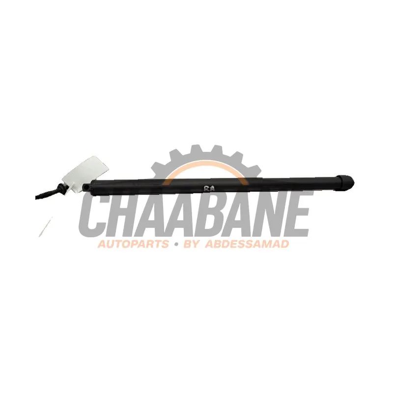 Amortisseur a gaz arriere droit N9X270354AE Landrover Range Rover Sport (L1) 3.0 D300