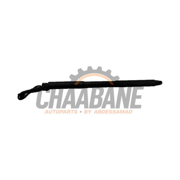 Amortisseur a gaz arriere droit 726315508 BMW 3 serie Touring (F31) 318d 2.0 16V 2012 / 2019