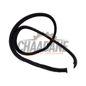 Joint caoutchouc portiere 4portes arriere gauche Seat Ibiza 2017