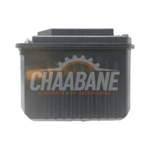 Batterie (hybride) 61215A38DE3 BMW 3 serie Touring (G21) 316d 2.0 TwinPower Turbo 16V 2019