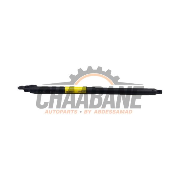 Amortisseur a gaz arriere gauche 3G7827552A Volkswagen Arteon Shooting Brake (3HAC) 2.0 TSI R 16V 4Motion 2020